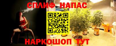 таблы Краснознаменск