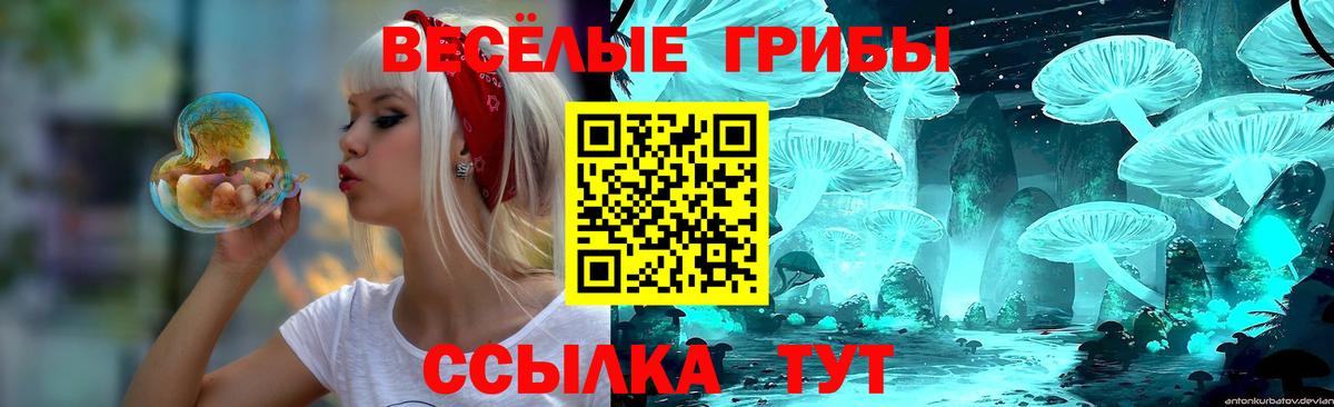 Галлюциногенные грибы MAGIC MUSHROOMS Балашов