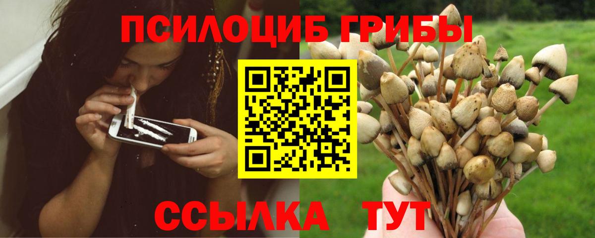 Псилоцибиновые грибы MAGIC MUSHROOMS  Вход с VPN  даркнет сайт  Балашов 